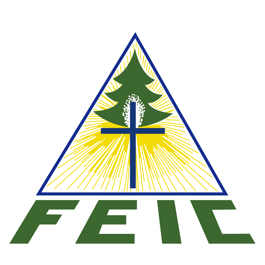 Logo FEIC
